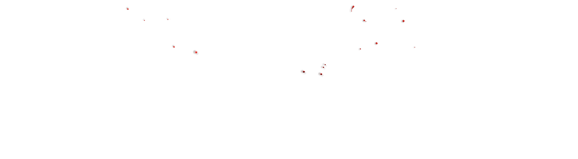 kodenta